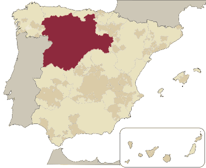 mapa-castilla-leon-marrones https://vibiwines.josetroitinho.com/wp-content/uploads/2020/05/mapa-castilla-leon-marrones.png