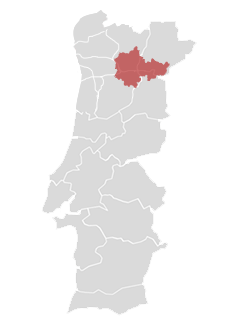 mapa-douro https://vibiwines.josetroitinho.com/wp-content/uploads/2020/05/mapa-douro.png